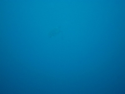 IMG_8672