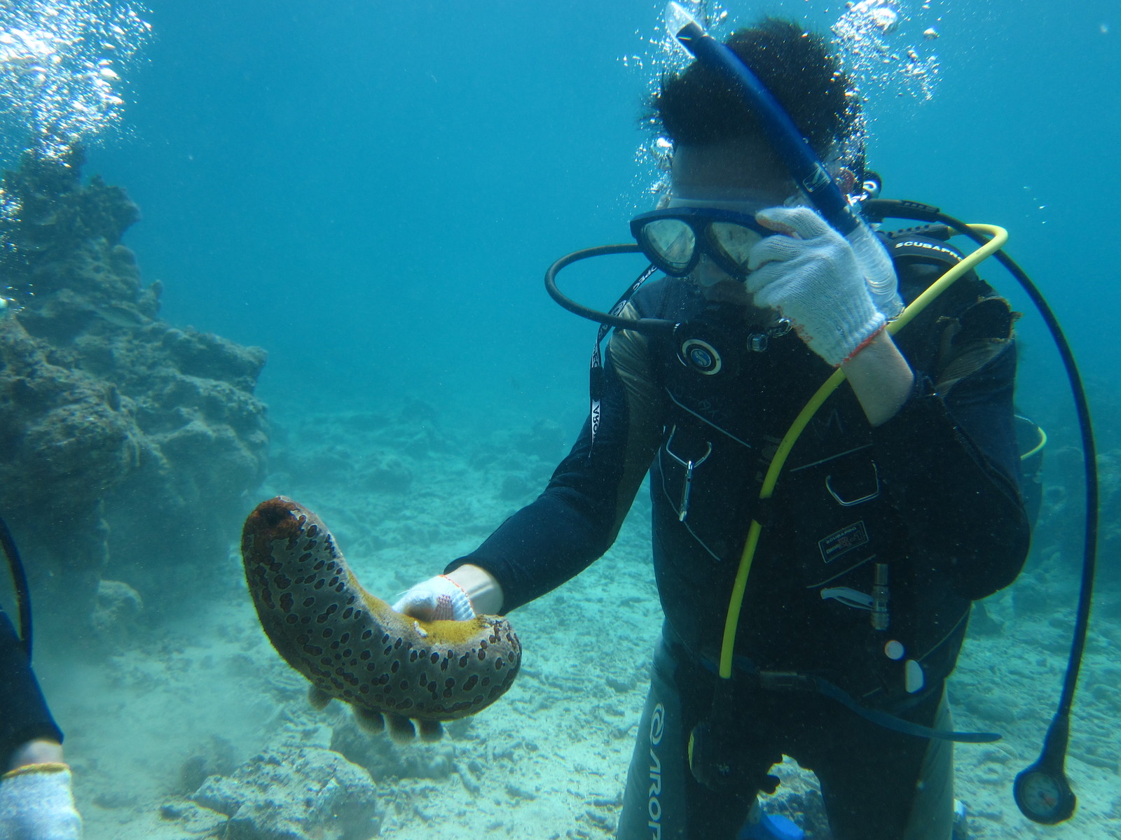 スローダイブ石垣島                slowdiveishigaki