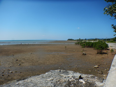 DSCN5765