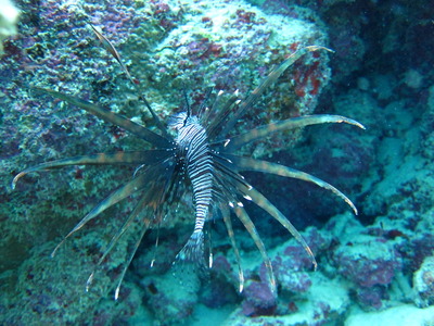 6 �ޤ�������� 061
