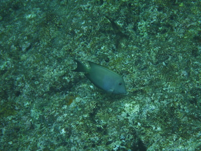 DSCF2747
