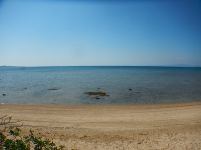 DSCN5769