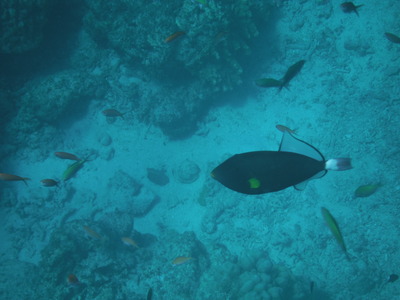 DSCF2626