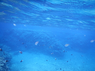 DSCN0399