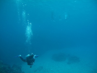 d2ba8708.jpg