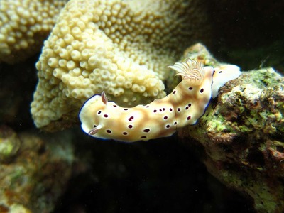 d705b8c2.jpg