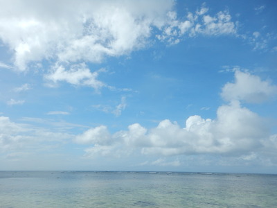 DSCN1412
