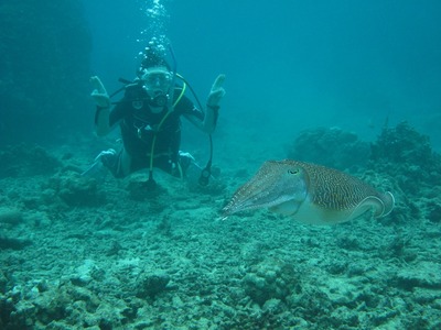 d7902fdc.jpg