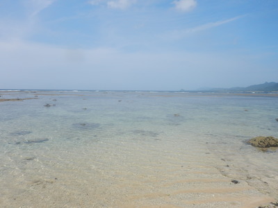 DSCN9837