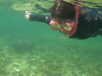 DSCN0239