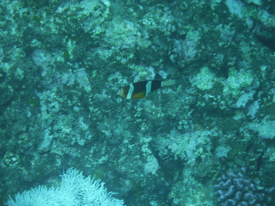DSCF2760
