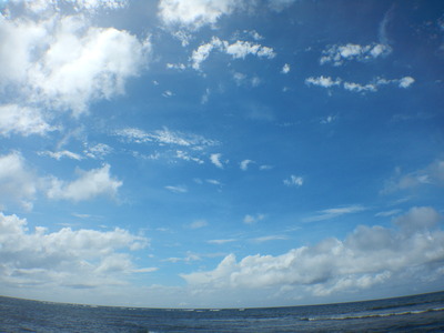 DSCN1410