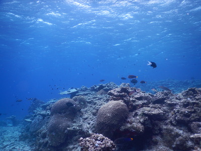 DSCN0366