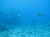2009 02 15_�ޤꤳ������θ�_0047-s