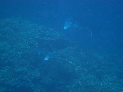 e8701d30.jpg
