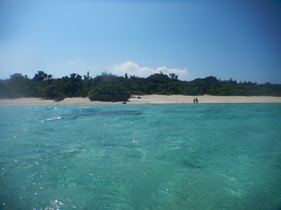 DSCN5803