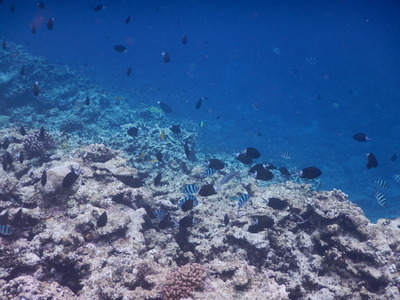 DSCN1075