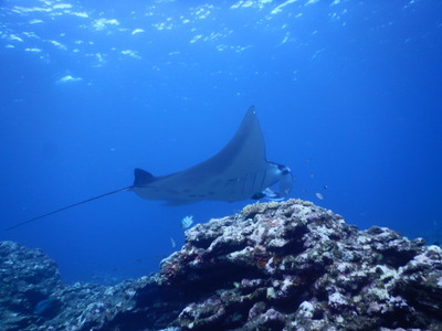DSCN0850