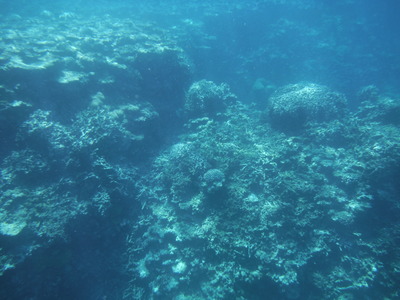 DSCF0605