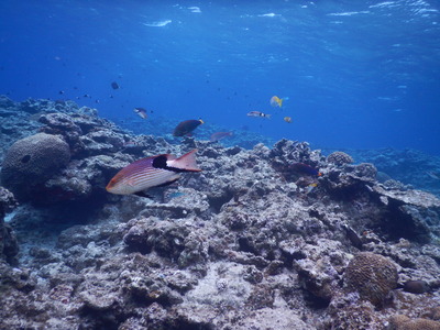 DSCN0363