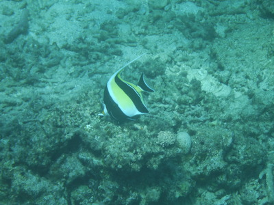 DSCF2557