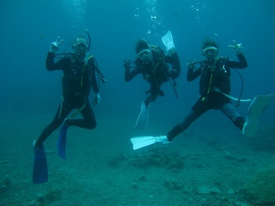 fc132fc5.jpg