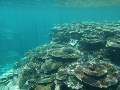 P8130067