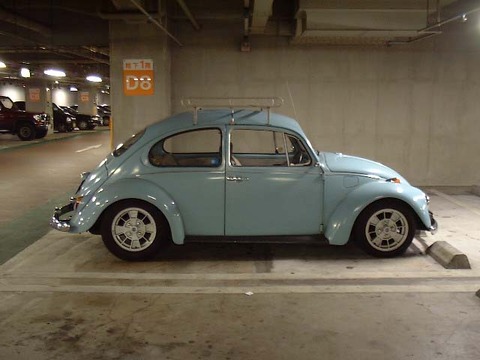 12beetle