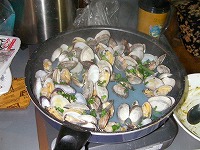 ss-0515-�����