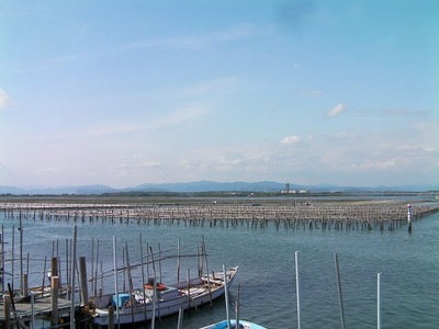 0515-Ĭ��������