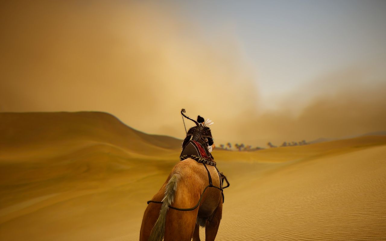 砂漠の歩き方 どす黒い砂漠日記