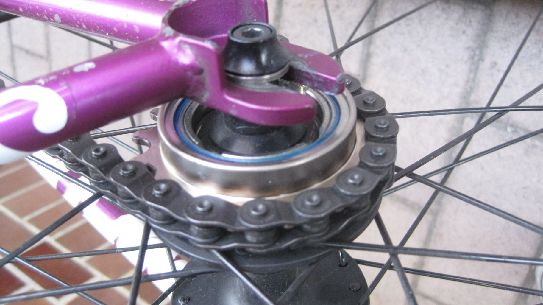 freewheel bicycle shop