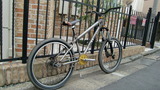 CIMG1997