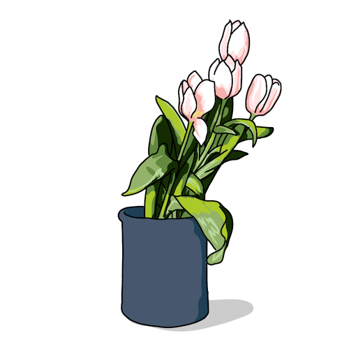 ベクターシェルフ イラスト素材 国内 フリー素材便利帳 ベクターシェルフ イラスト素材 国内 フリー素材便利帳