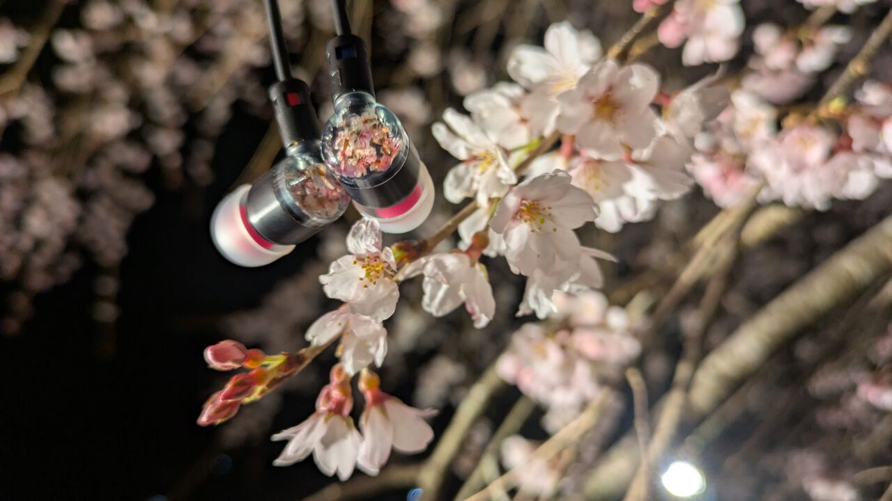 intime夜桜 レビュー : slow AUDIO，slow LIFE