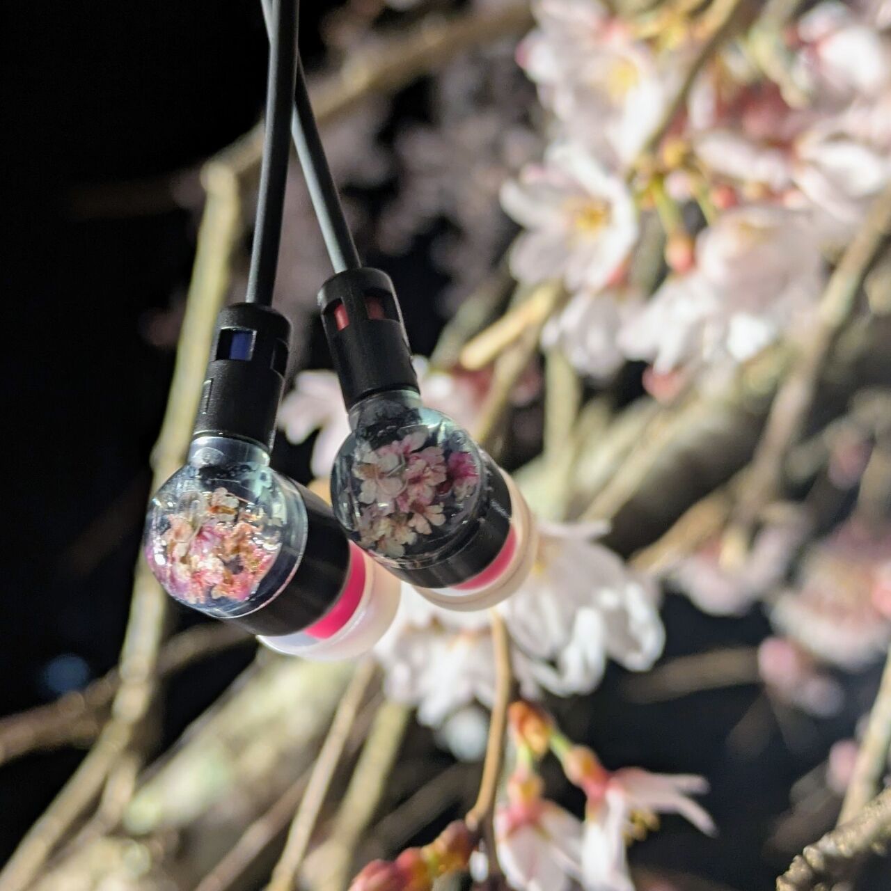 intime夜桜 レビュー : slow AUDIO，slow LIFE