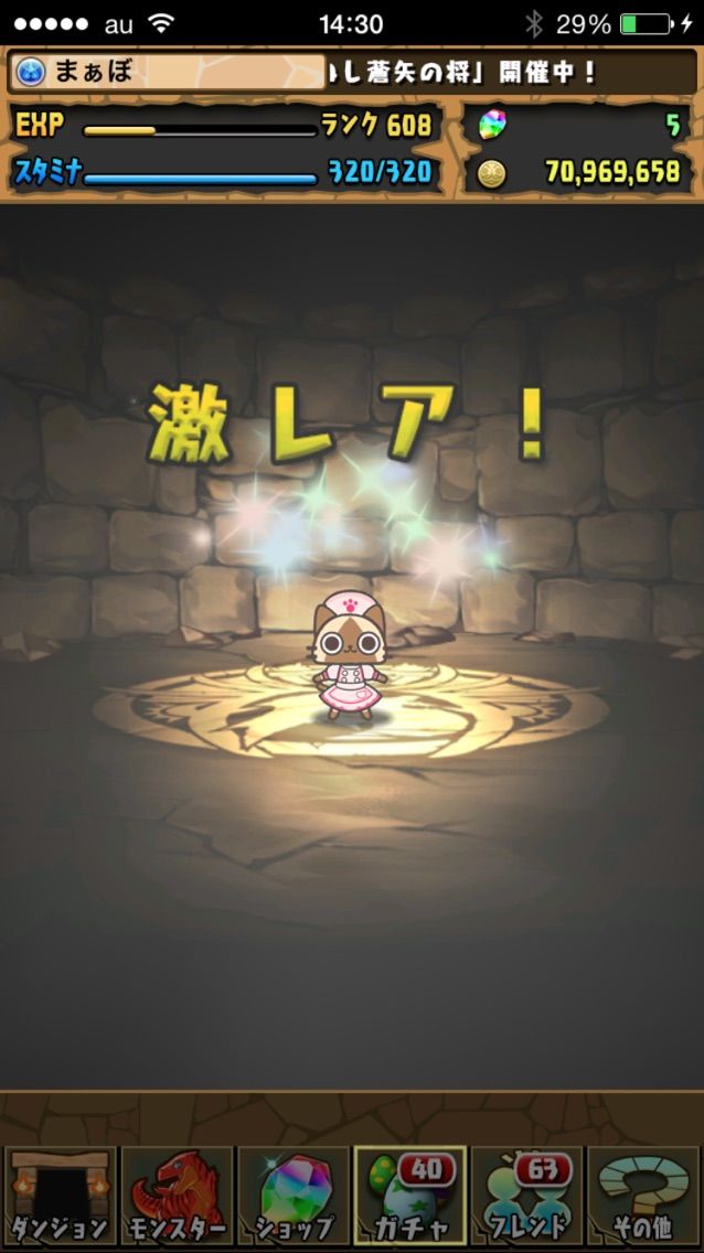 モンハンコラボガチャ結果 バギィネコを手に入れよう まぁぼのパズドラ研究所 モンハンコラボガチャ結果 バギィネコを手に入れよう まぁぼのパズドラ研究所