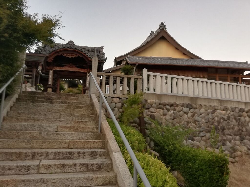 2020年11月 : 低空飛行net