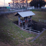 IMG_8561