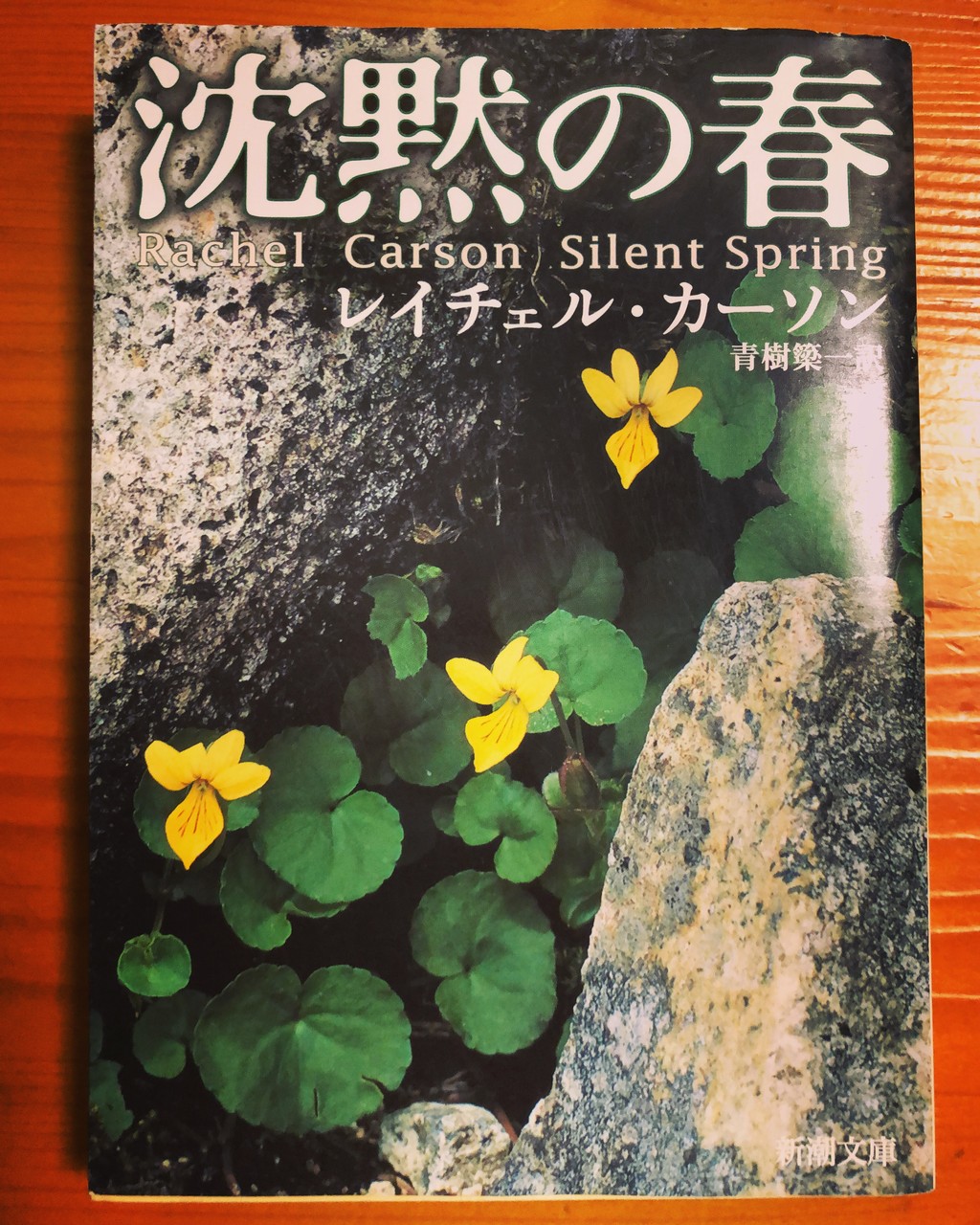 レイチェル カーソンを探して My Favorite Mistake レイチェル カーソンを探して My Favorite Mistake