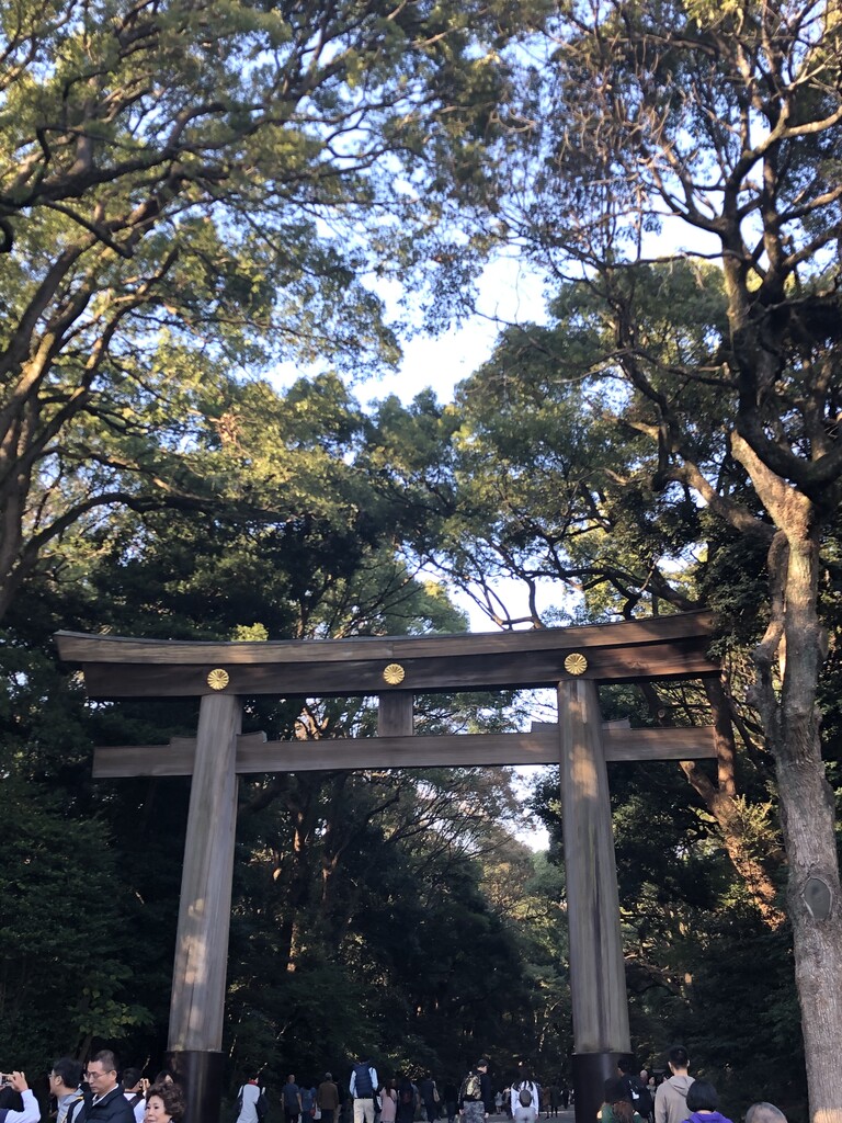 明治神宮から渋谷まで歩く My Favorite Mistake
