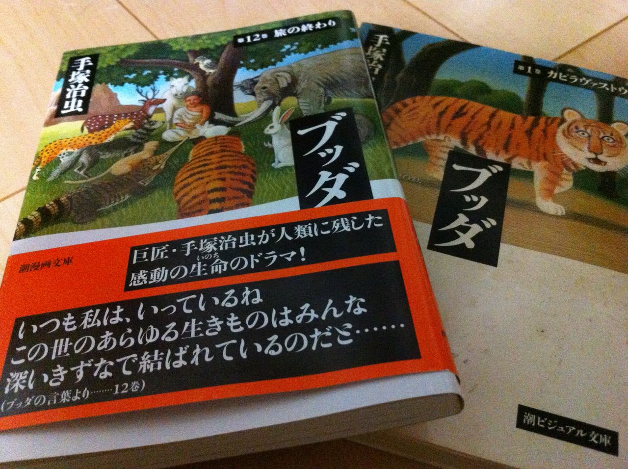 目覚めた人 My Favorite Mistake 目覚めた人 My Favorite Mistake