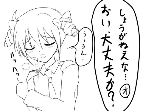 メチャシコプリキュア画像くれ(´・ω・`)7252