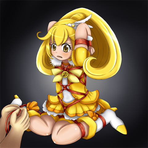 5回以上抜いたプリキュア画像貼っててください！5098