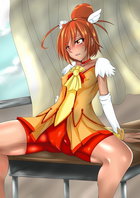 お前らがヌいたスマプリ娘画像下さいｗｗｗｗｗｗPart1067