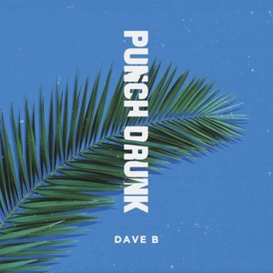 dave-b-punch-drunk