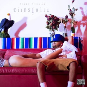 tyler-thomas-birds-i-view