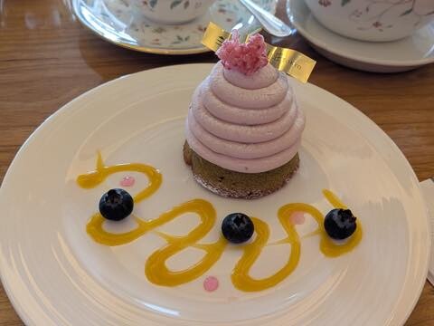 PXL_20250418_045217077.RAW-01.COVER