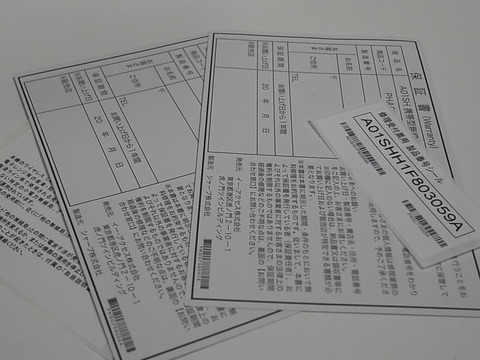 08646be9.jpg