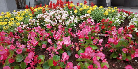 2018_camera_03_02_960